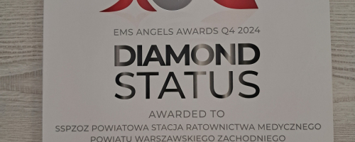 „Diamentowa Statuetka” - Galeria 2025