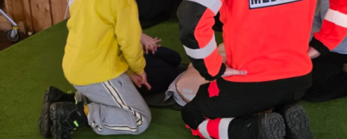 Zima w lesie - Galeria 2026